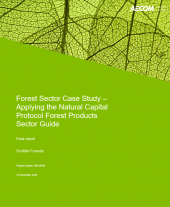 Forest Sector final report